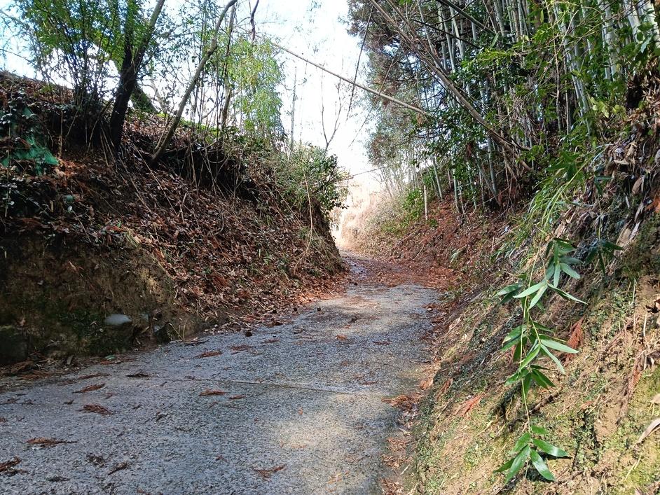 城村城