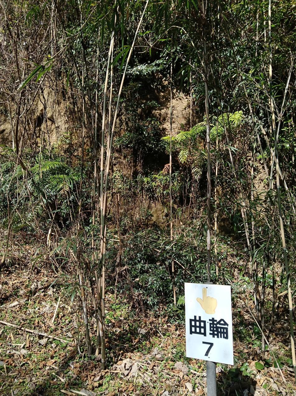酒谷城