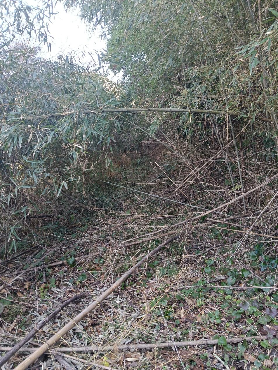 山之口城