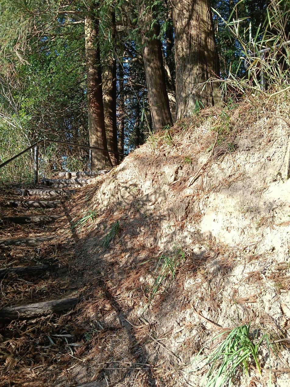 小林城