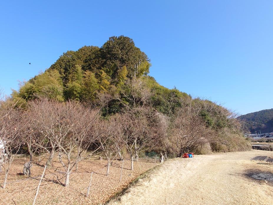 丸山城