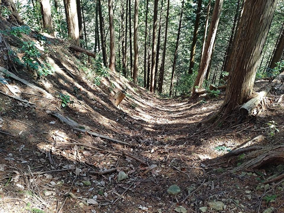 菩提山城
