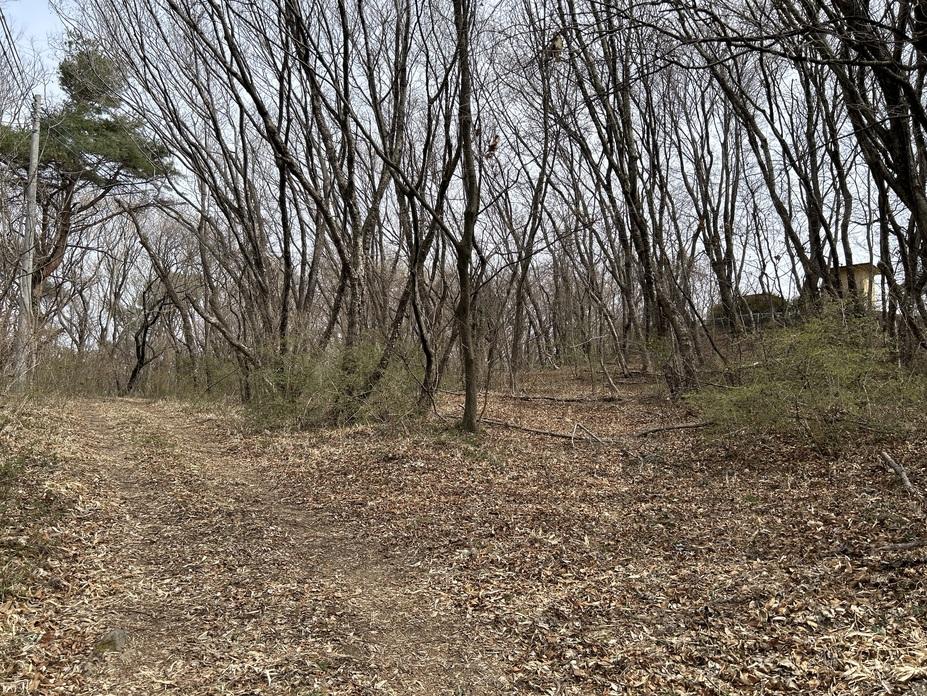 能見城