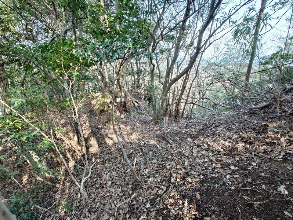 蓑上城