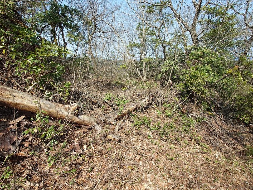鵯尾城