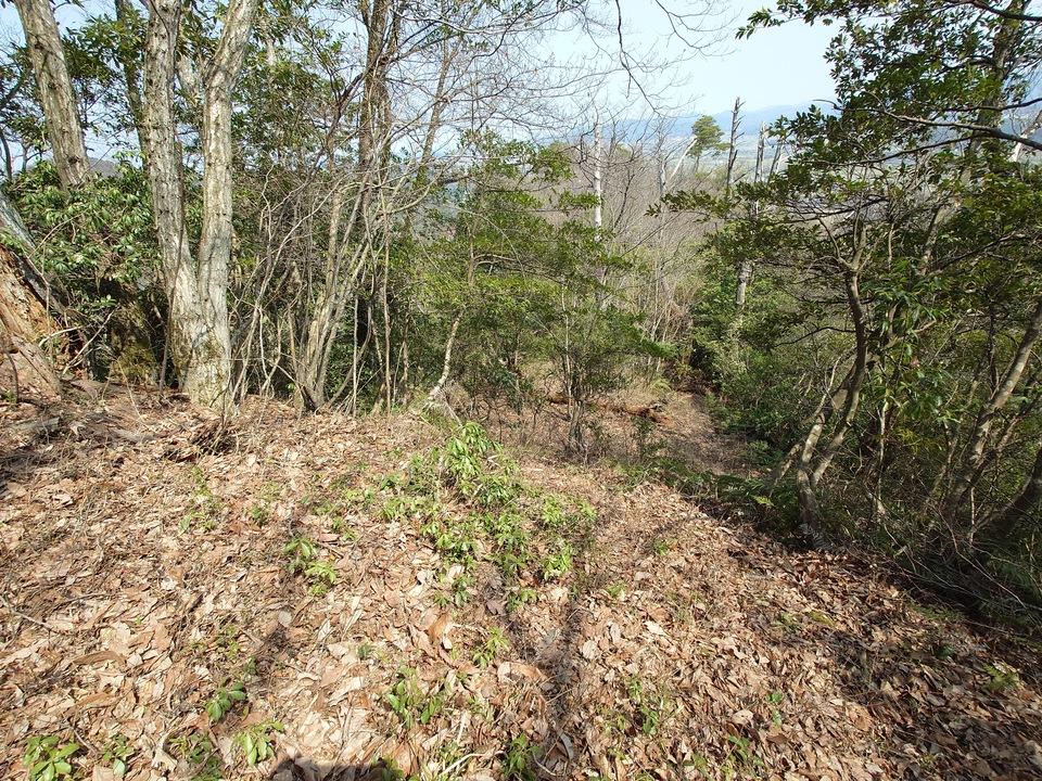 鵯尾城