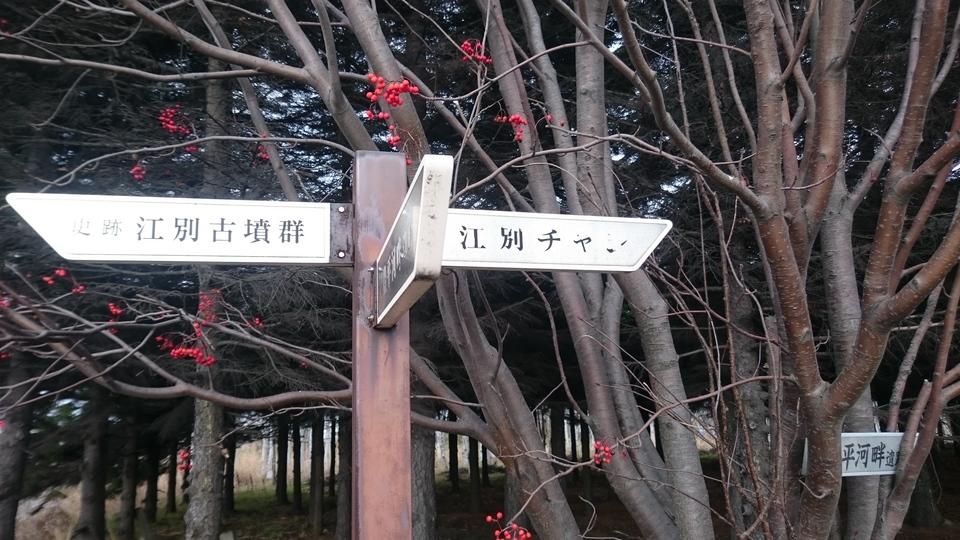 江別チャシ