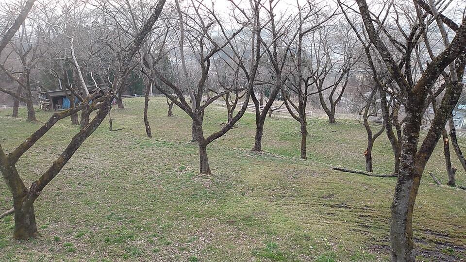 高水寺城