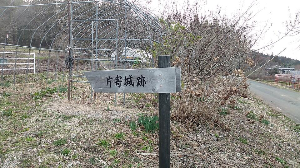 柳田館
