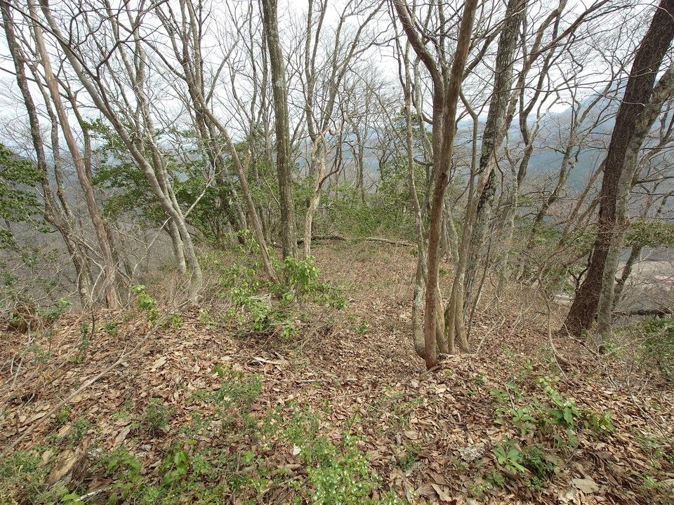 蔀山城