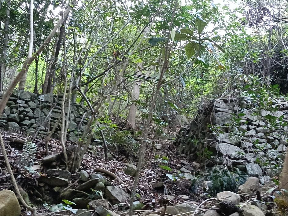 琴尾山烽火台
