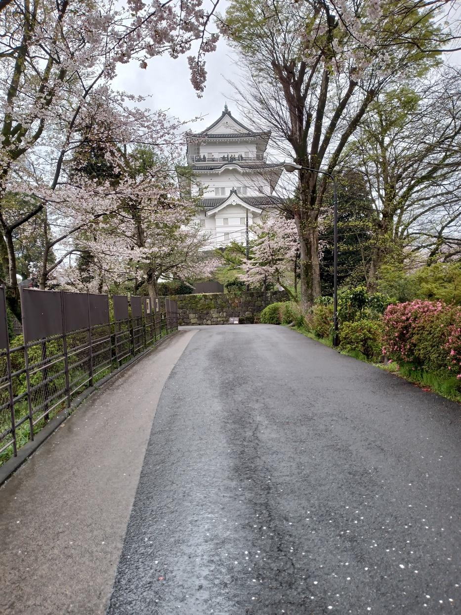 小田原城
