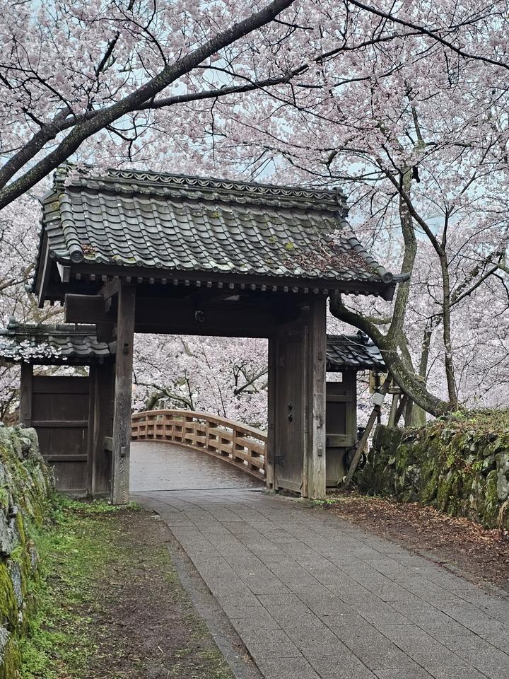 高遠城