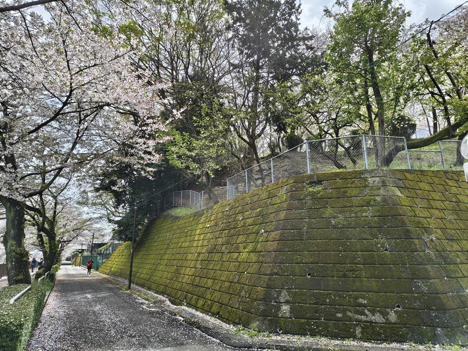 成瀬城