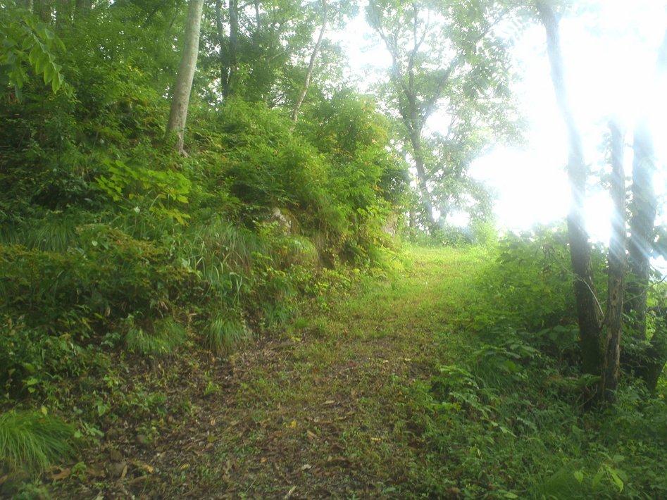 山崎城
