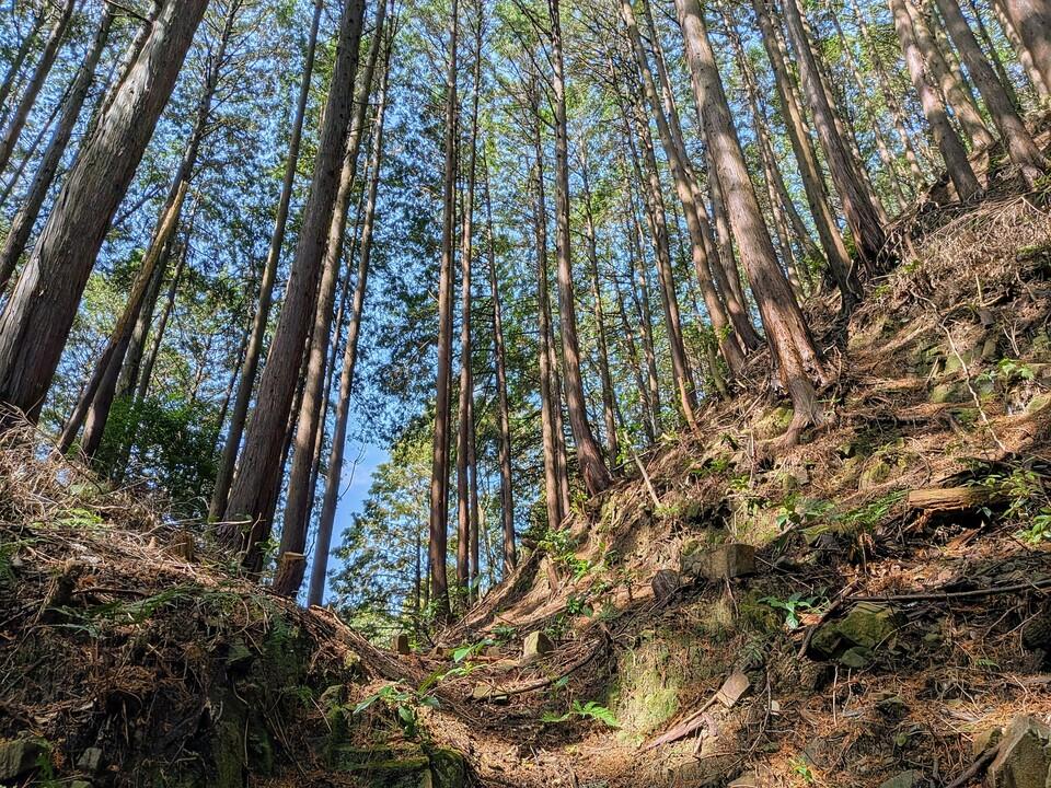 岩略寺城