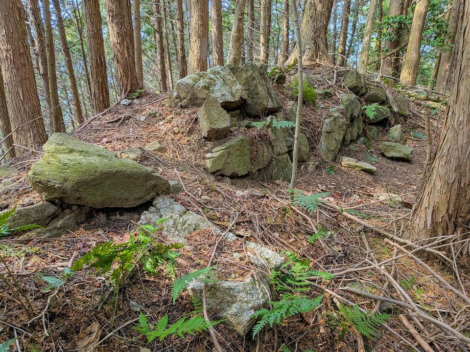 龍王山城
