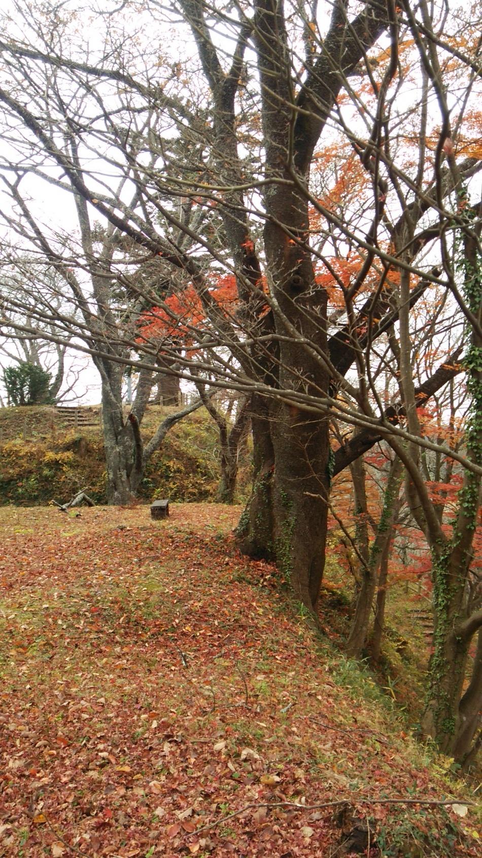 芦野城