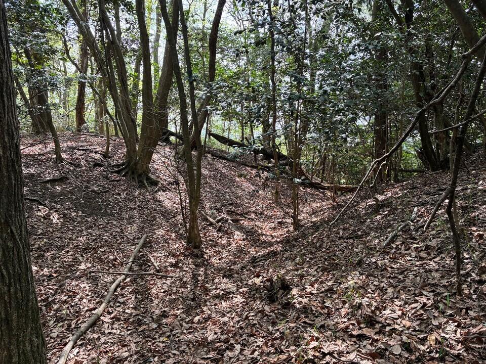 比自山城