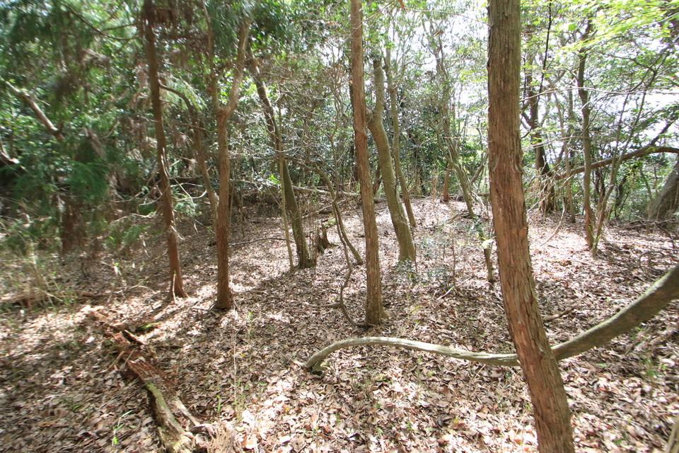 比自山城
