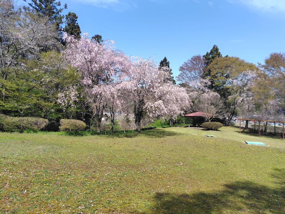 内館