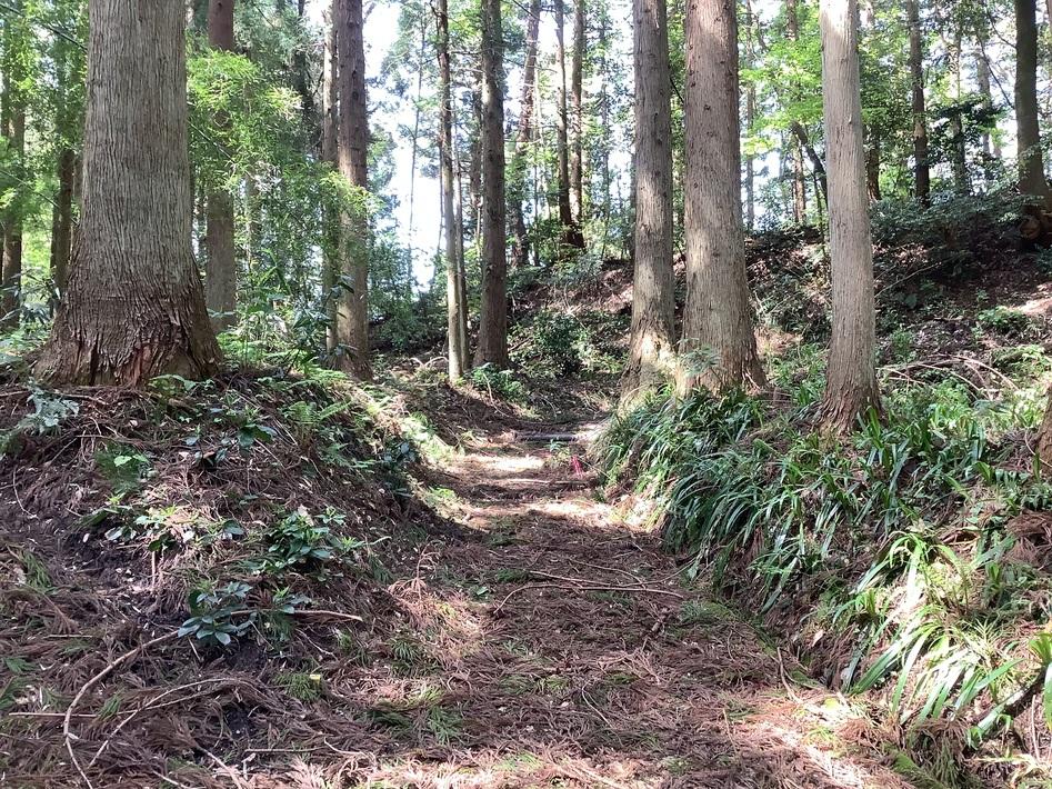 赤田城