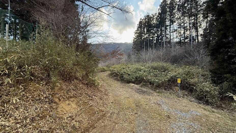 世田米城