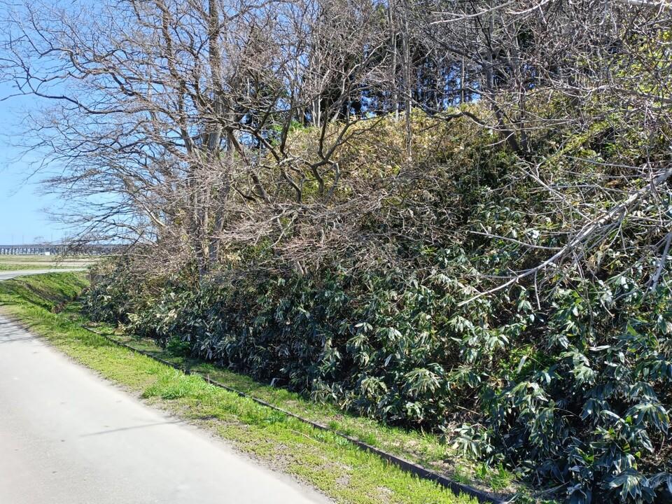 油川城