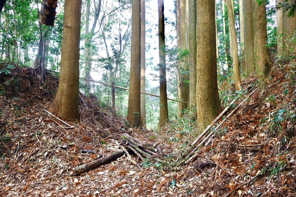 大野原城