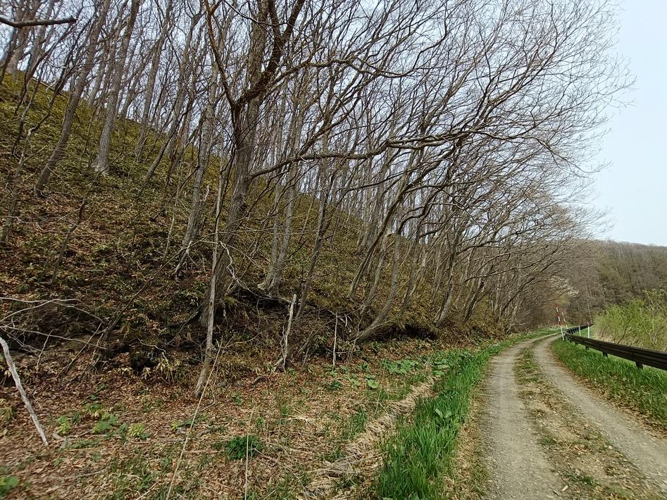 島松川左岸チャシ