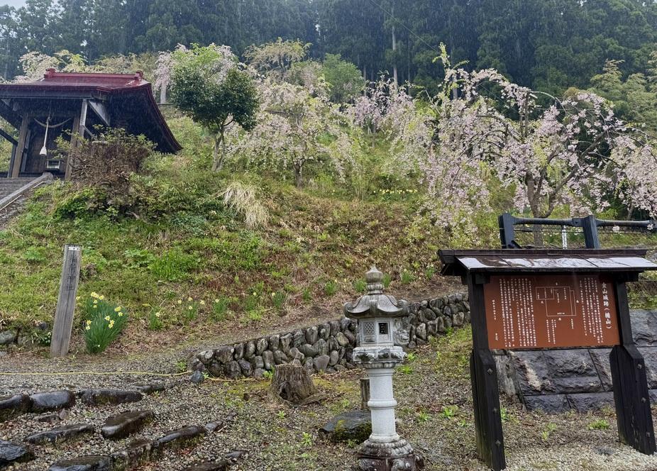 金山城