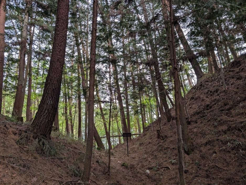山吹城