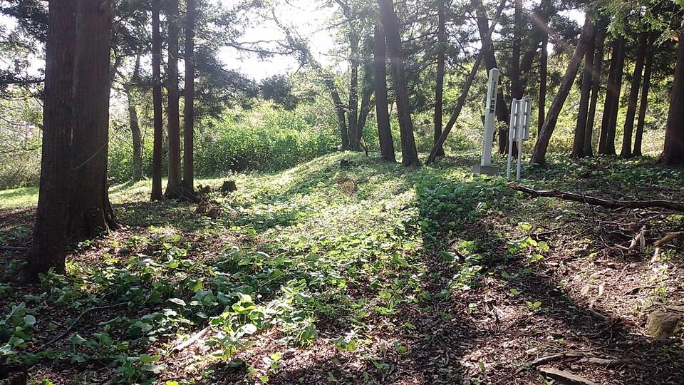 西館