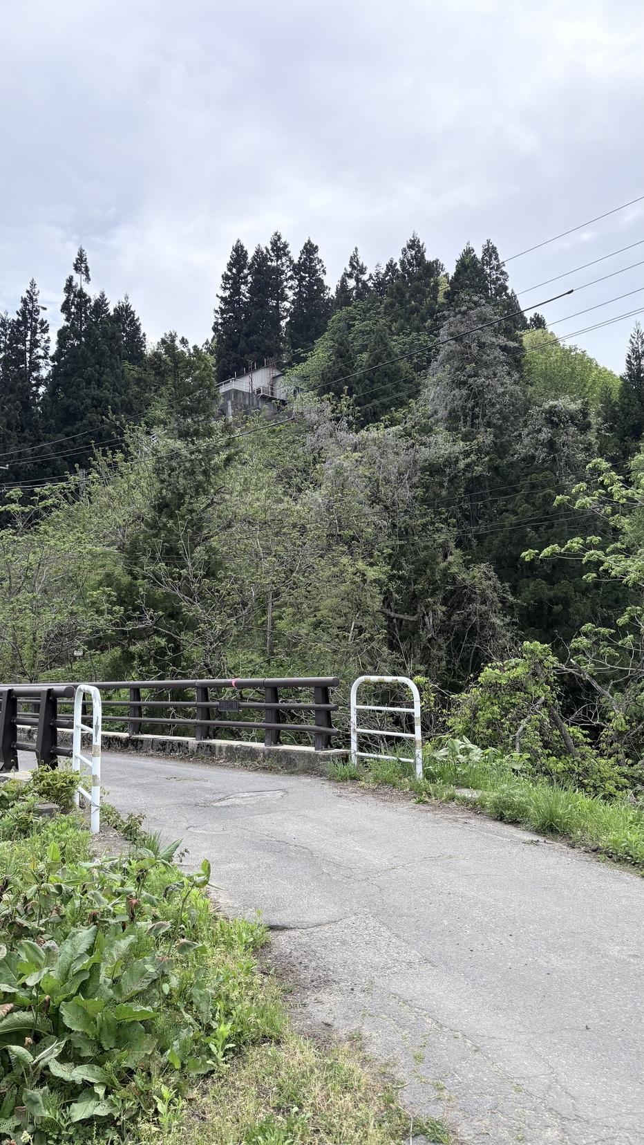 舘山城