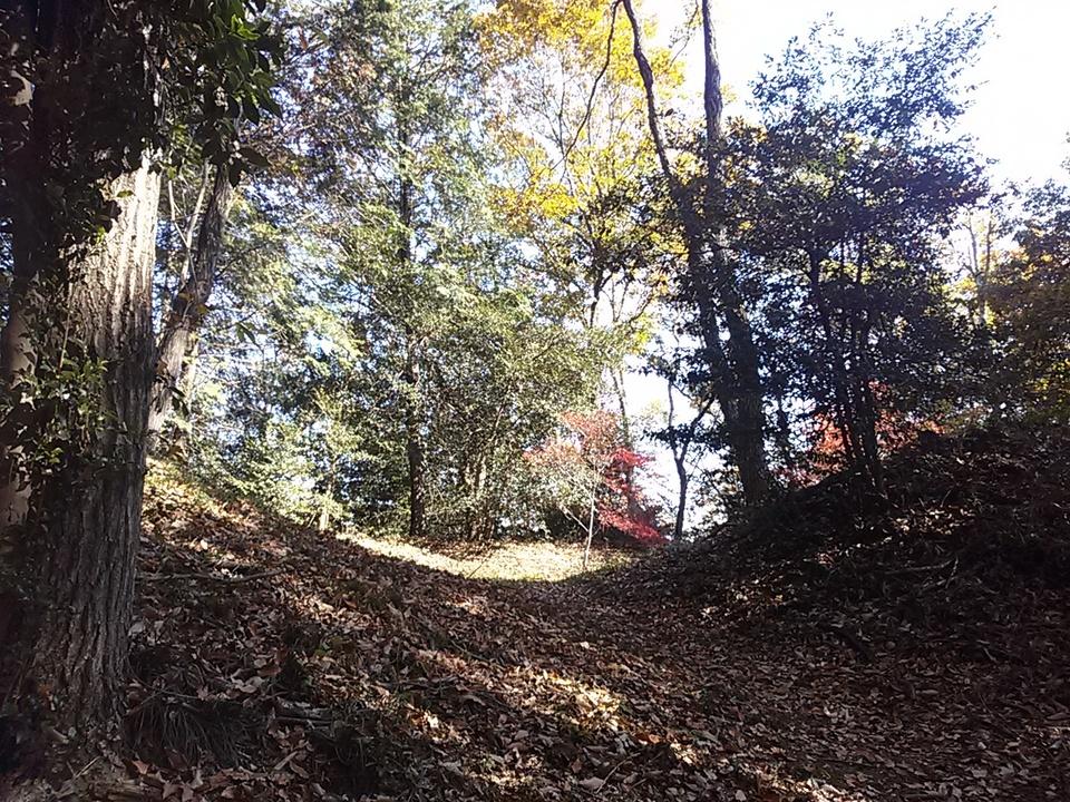 高見城