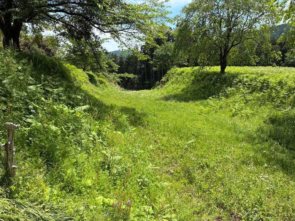 神梅城