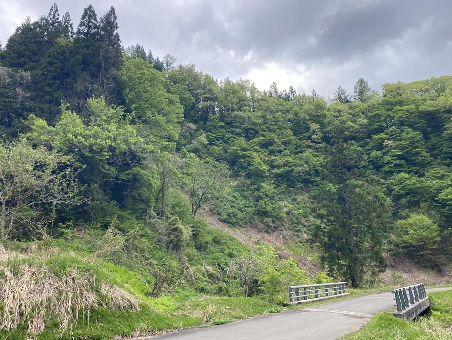 岡野町城
