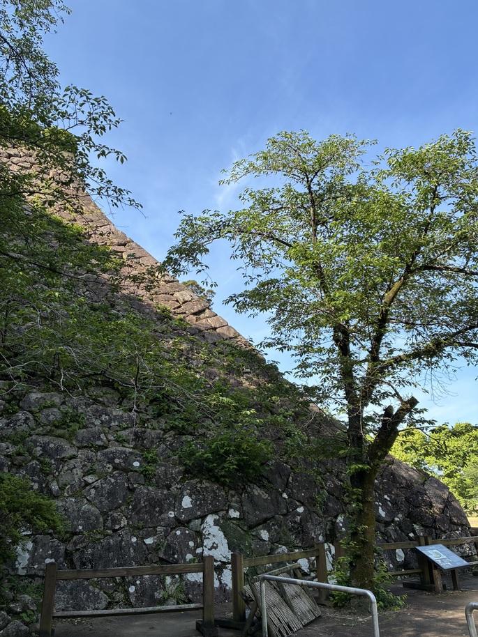 延岡城