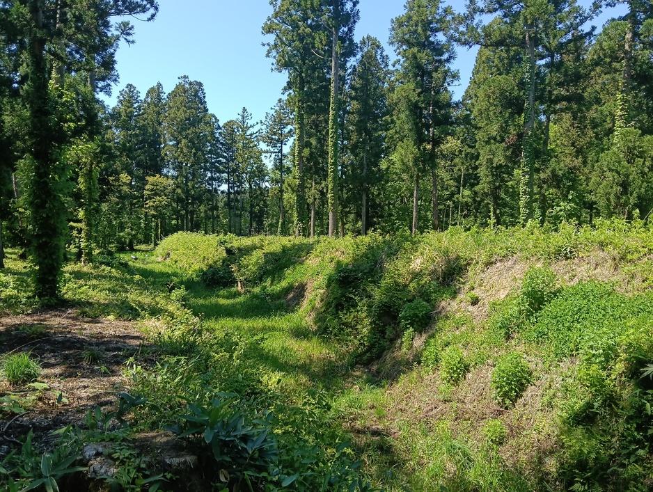 平林城