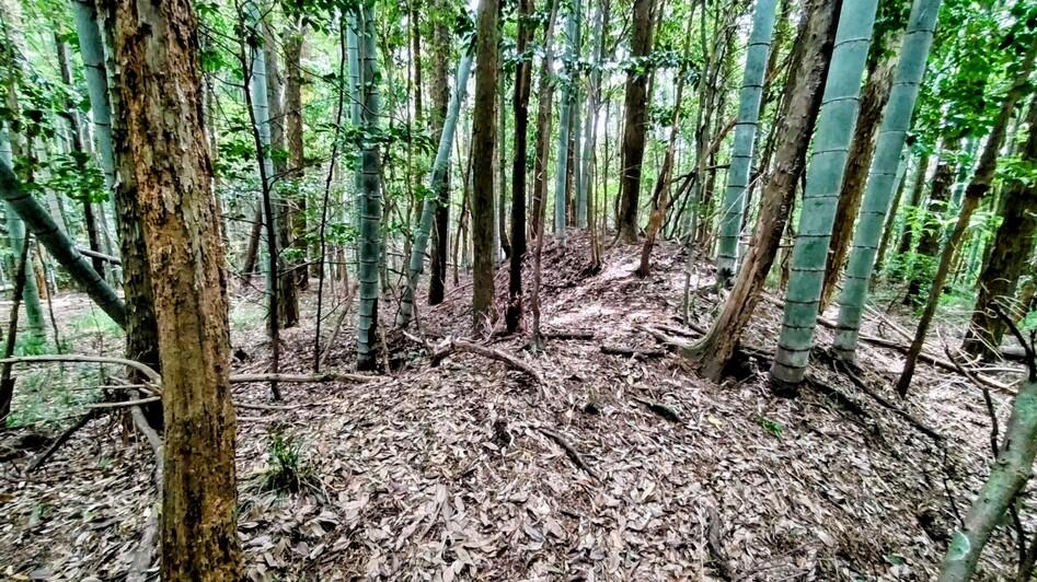 郡山城