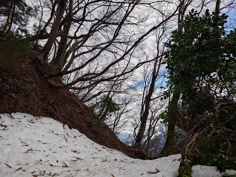根知城
