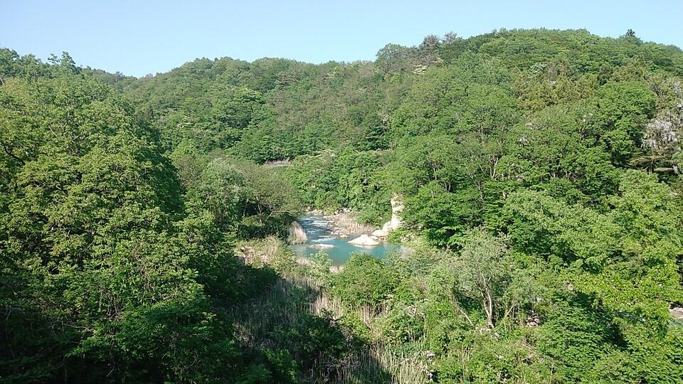 半目館