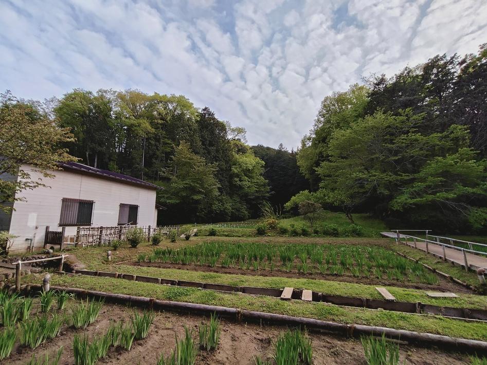 勝沼城