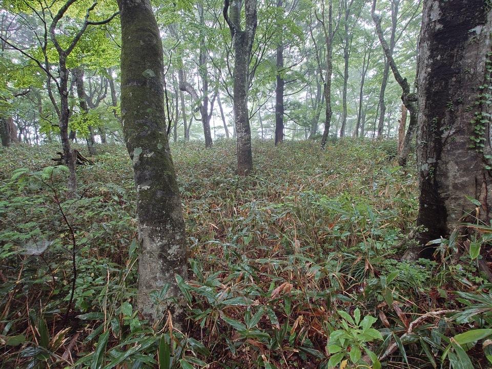 船上山城