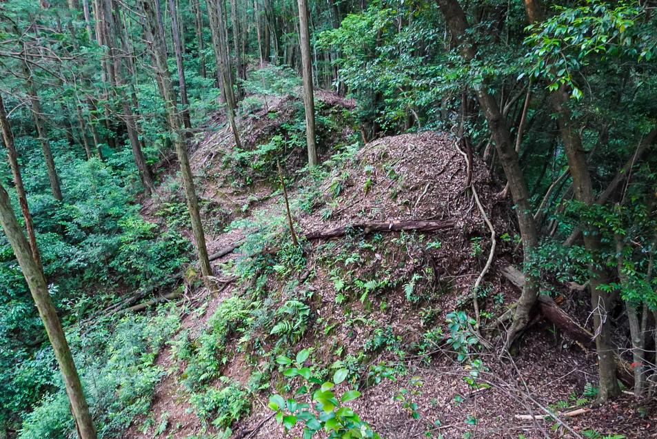 坪谷城