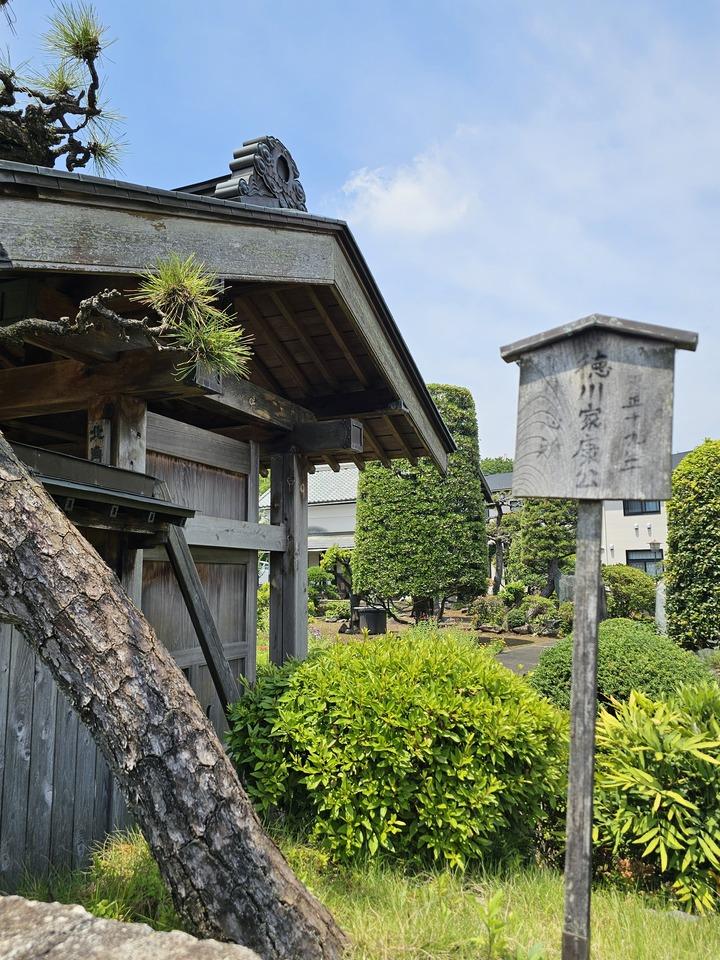 丸山城