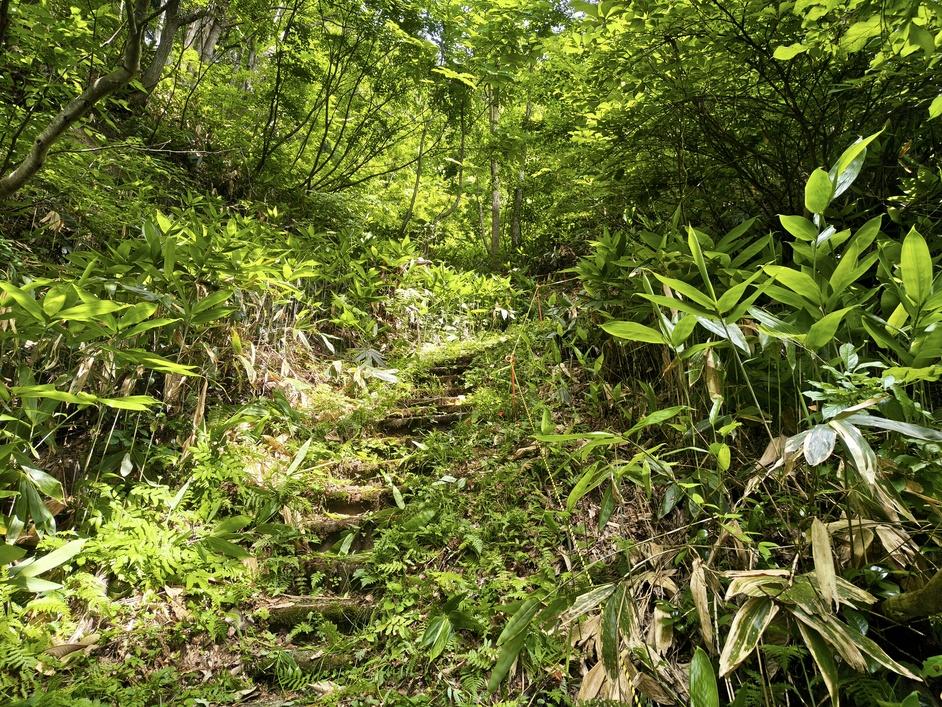 下倉山城