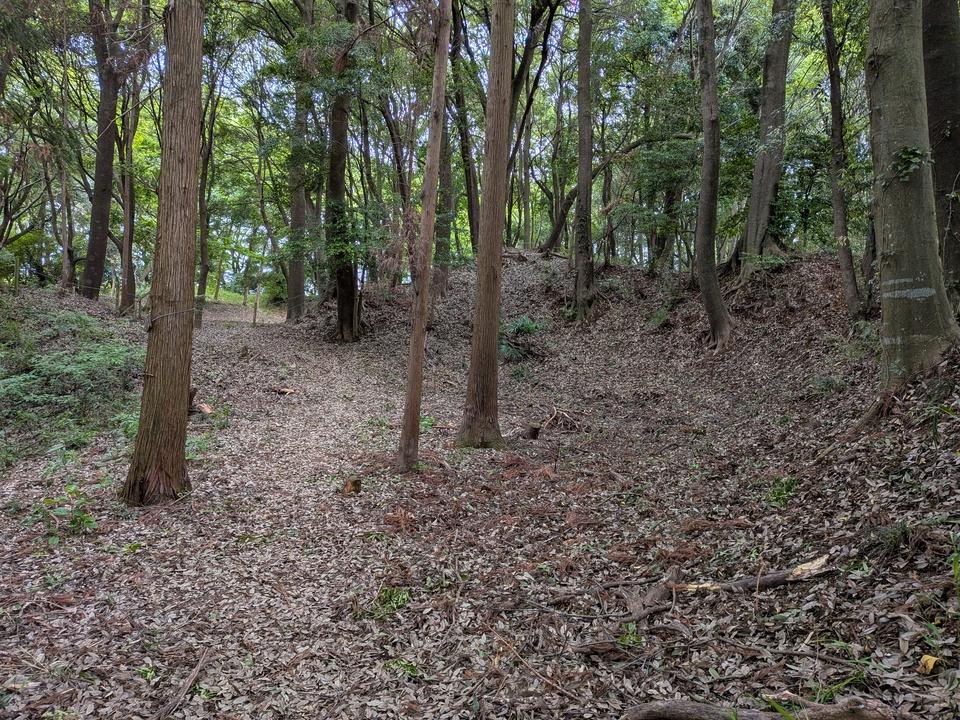 守谷城