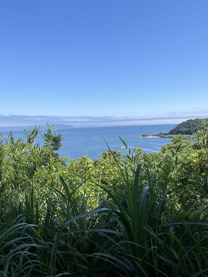 浦賀城