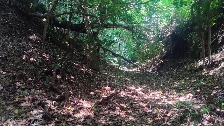 三城城